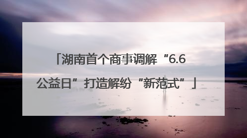 湖南首个商事调解“6.6 公益日”打造解纷“新范式”