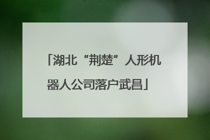 湖北“荆楚”人形机器人公司落户武昌