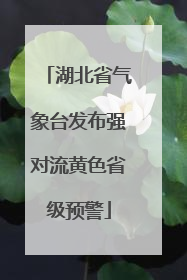 湖北省气象台发布强对流黄色省级预警