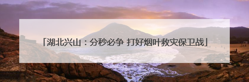 湖北兴山：分秒必争 打好烟叶救灾保卫战