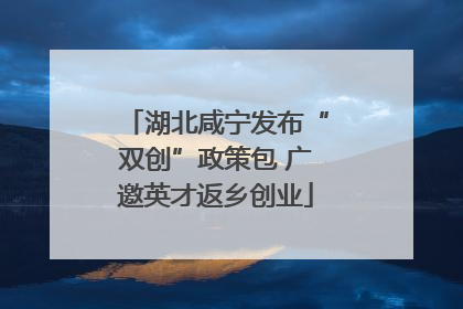 湖北咸宁发布“双创”政策包 广邀英才返乡创业
