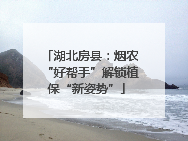 湖北房县：烟农“好帮手”解锁植保“新姿势”