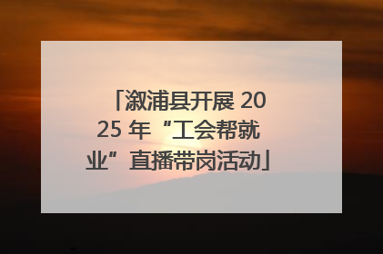 溆浦县开展 2025 年“工会帮就业”直播带岗活动