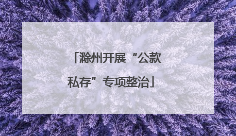 滁州开展“公款私存”专项整治