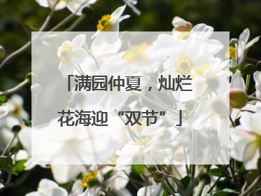 满园仲夏，灿烂花海迎“双节”