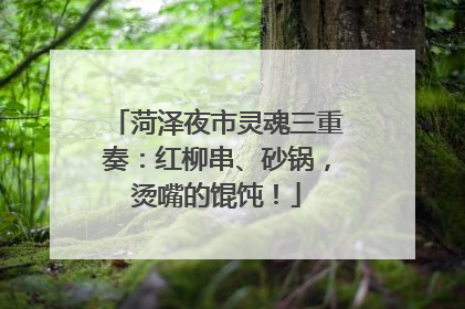 菏泽夜市灵魂三重奏：红柳串、砂锅，烫嘴的馄饨！