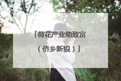 荷花产业助致富（侨乡新貌）