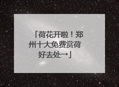 荷花开啦！郑州十大免费赏荷好去处→