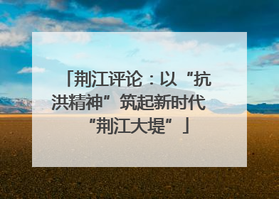 荆江评论：以“抗洪精神”筑起新时代“荆江大堤”