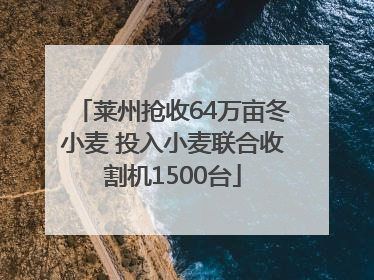 莱州抢收64万亩冬小麦 投入小麦联合收割机1500台