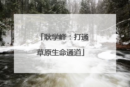 耿学峰：打通草原生命通道