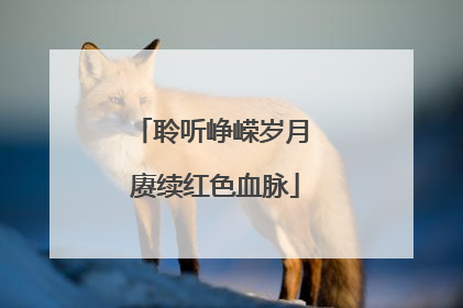 聆听峥嵘岁月 赓续红色血脉