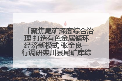 聚焦尾矿深度综合治理 打造有色金属循环经济新模式 张金良一行调研栾川县尾矿库综合治理工作