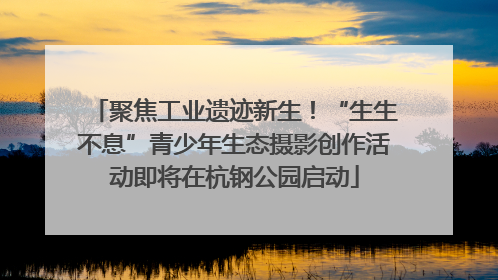 聚焦工业遗迹新生！“生生不息”青少年生态摄影创作活动即将在杭钢公园启动
