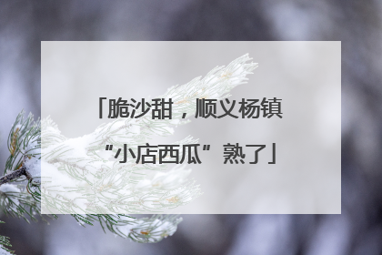 脆沙甜，顺义杨镇“小店西瓜”熟了
