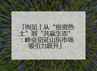 舆见丨从“投资热土”到“共赢生态”：峰会见证山东市场吸引力跃升