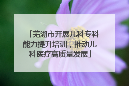 芜湖市开展儿科专科能力提升培训，推动儿科医疗高质量发展