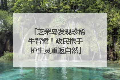 芝罘岛发现珍稀牛背鹭！政民携手护生灵重返自然