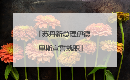 苏丹新总理伊德里斯宣誓就职
