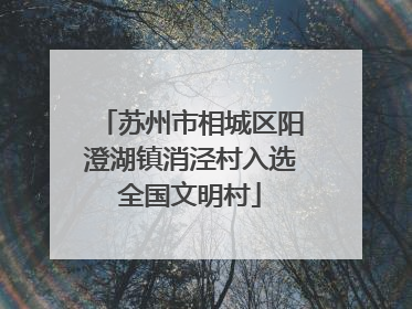 苏州市相城区阳澄湖镇消泾村入选全国文明村