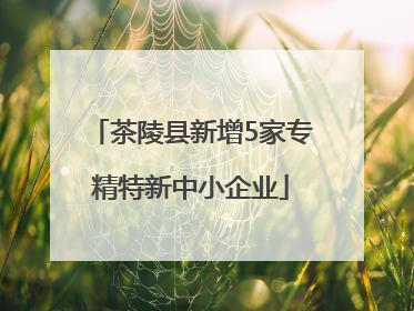茶陵县新增5家专精特新中小企业