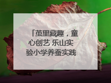 茧里藏趣，童心创艺 乐山实验小学养蚕实践绘就成长画卷