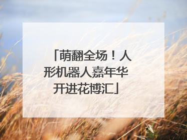 萌翻全场！人形机器人嘉年华开进花博汇