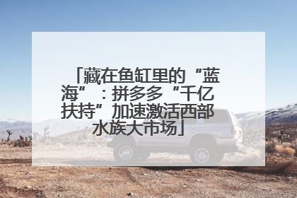 藏在鱼缸里的“蓝海”：拼多多“千亿扶持”加速激活西部水族大市场