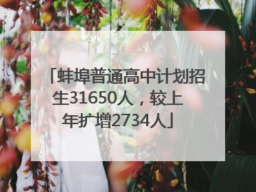 蚌埠普通高中计划招生31650人，较上年扩增2734人