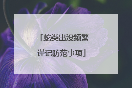 蛇类出没频繁 谨记防范事项