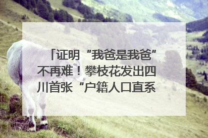 证明“我爸是我爸”不再难！攀枝花发出四川首张“户籍人口直系亲属关系谱”