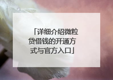 详细介绍微粒贷借钱的开通方式与官方入口