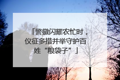 警徽闪耀农忙时，仪征多措并举守护百姓“粮袋子”