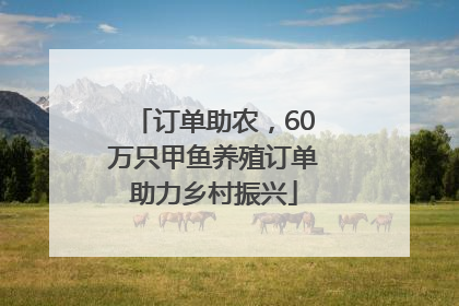 订单助农，60万只甲鱼养殖订单助力乡村振兴