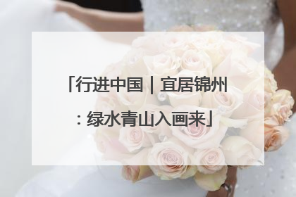 行进中国｜宜居锦州：绿水青山入画来