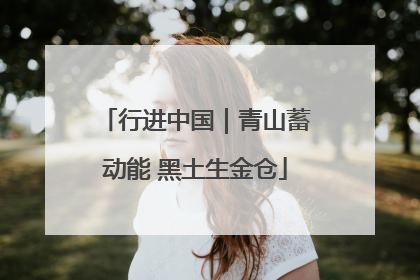 行进中国｜青山蓄动能 黑土生金仓