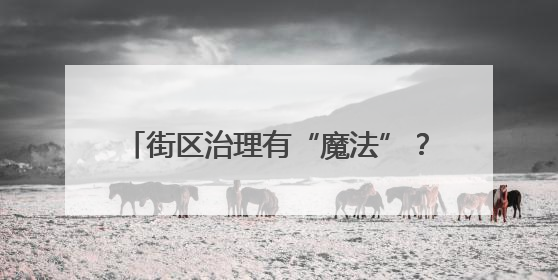 街区治理有“魔法”？看梧桐树下的“破圈”实践｜我在街区当书记