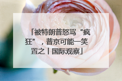 被特朗普怒骂“疯狂”，普京可能一笑置之丨国际观察