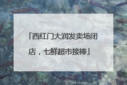 西红门大润发卖场闭店，七鲜超市接棒