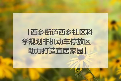 西乡街道西乡社区科学规划非机动车停放区 助力打造宜居家园