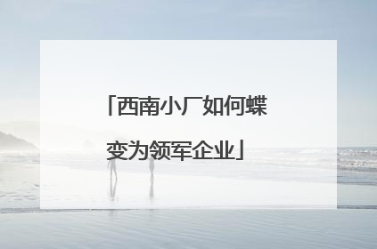 西南小厂如何蝶变为领军企业