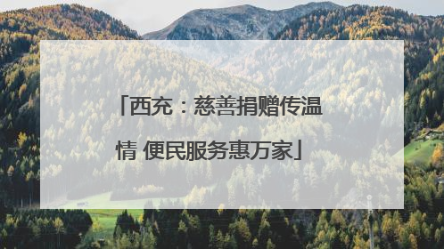 西充：慈善捐赠传温情 便民服务惠万家