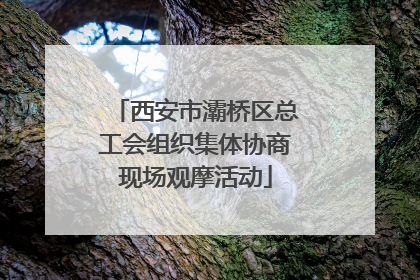 西安市灞桥区总工会组织集体协商现场观摩活动