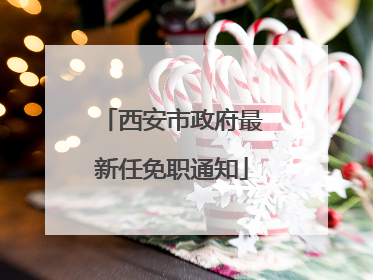 西安市政府最新任免职通知