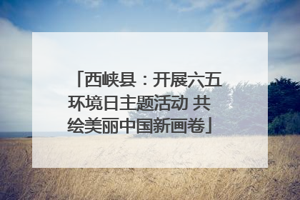 西峡县：开展六五环境日主题活动 共绘美丽中国新画卷