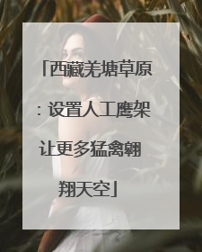 西藏羌塘草原：设置人工鹰架 让更多猛禽翱翔天空