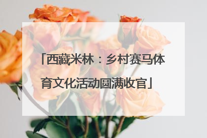 西藏米林：乡村赛马体育文化活动圆满收官
