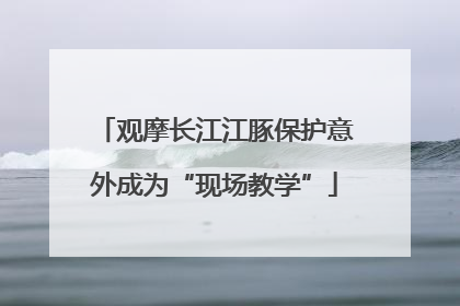 观摩长江江豚保护意外成为“现场教学”