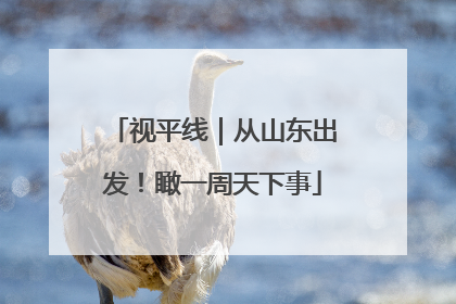 视平线｜从山东出发！瞰一周天下事