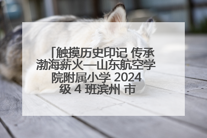 触摸历史印记 传承渤海薪火—山东航空学院附属小学 2024 级 4 班滨州 市档案馆研学实践活动